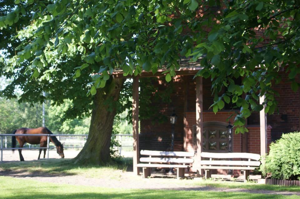 Grabowiec  Hostel Milosz מראה חיצוני תמונה